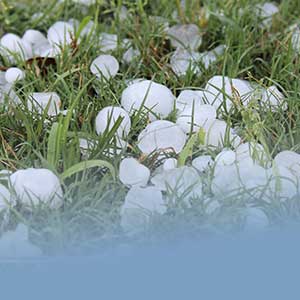 Hailstorm 101 Feature